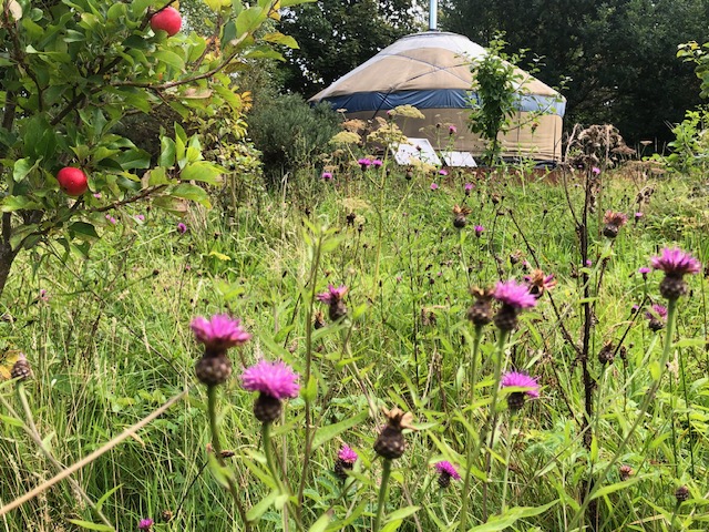 Quiet and tranquil site